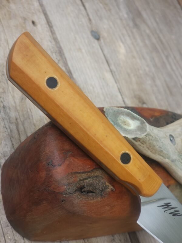 NitroV Stainless Steel Paring Knife