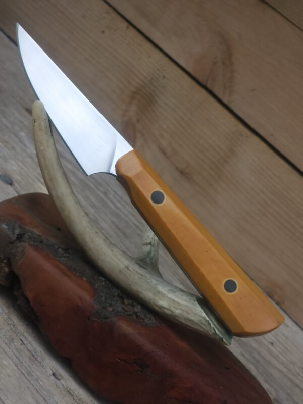 NitroV Stainless Steel Paring Knife