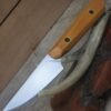 NitroV Stainless Steel Paring Knife