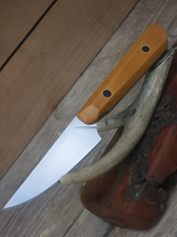 NitroV Stainless Steel Paring Knife
