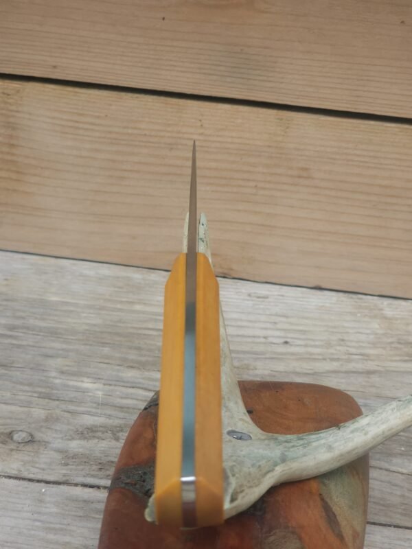 NitroV Stainless Steel Paring Knife