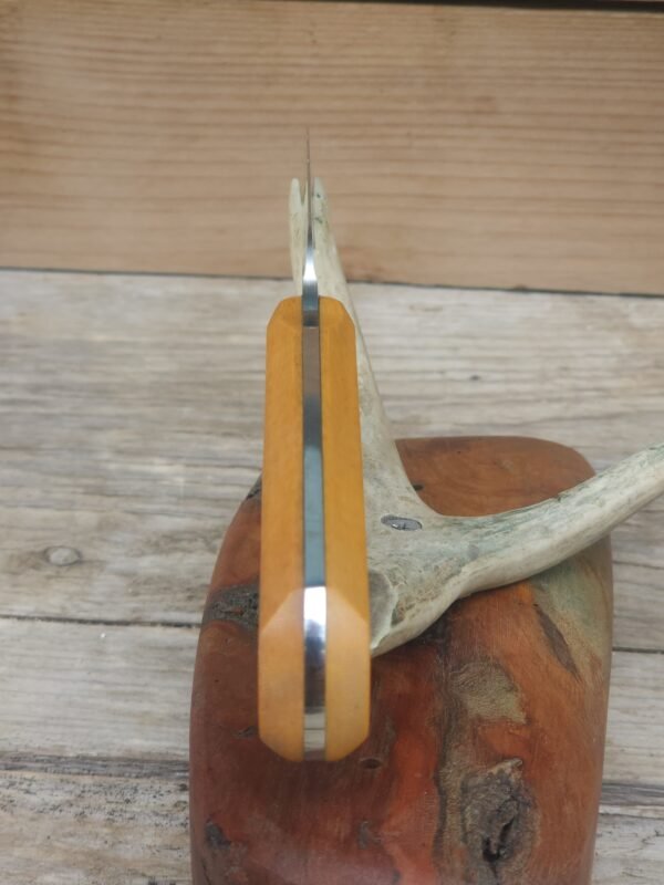 NitroV Stainless Steel Paring Knife