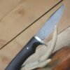 20250812_135754 4.25" Alabama Damascus Hunter W/ African Blackwood