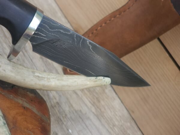 20250812_135850 4.25" Alabama Damascus Hunter W/ African Blackwood