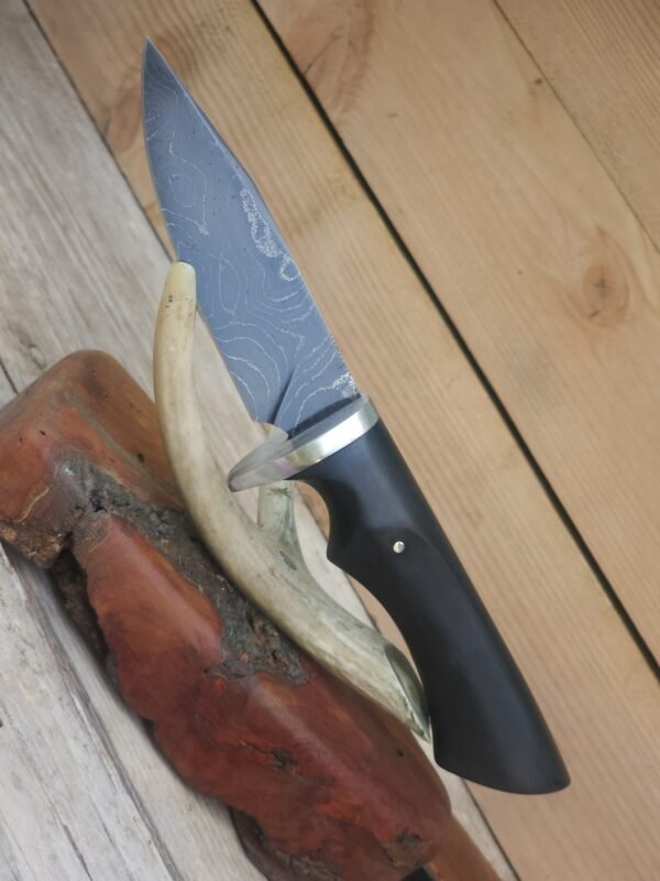 20250812_140205 4.25" Alabama Damascus Hunter W/ African Blackwood