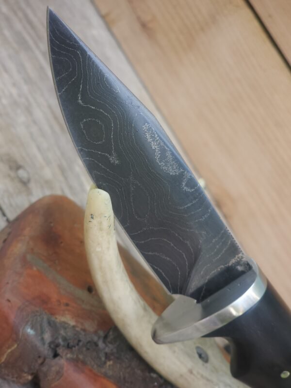 20250812_140215 4.25" Alabama Damascus Hunter W/ African Blackwood
