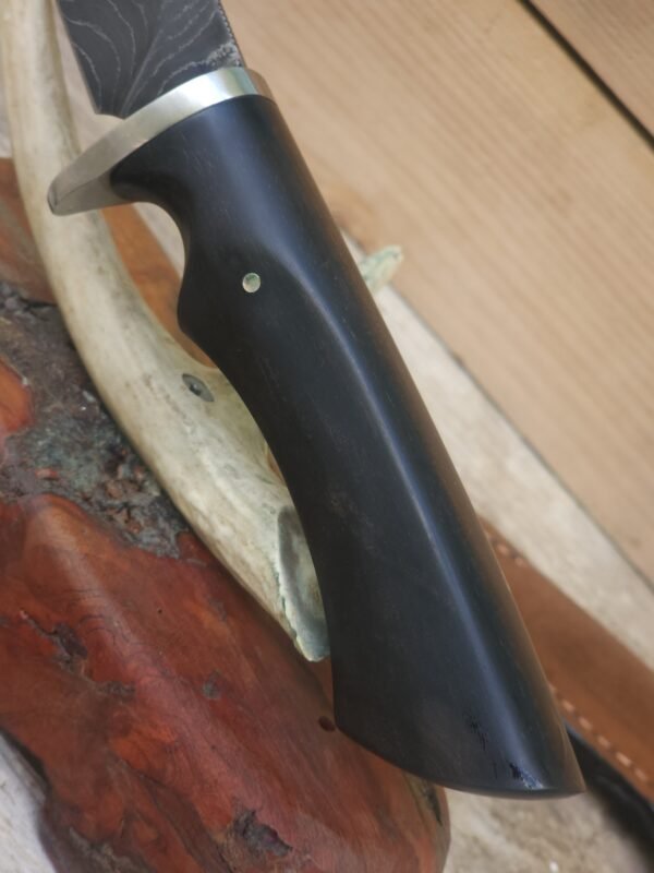 20250812_140235 4.25" Alabama Damascus Hunter W/ African Blackwood