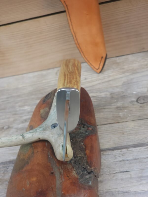 Nitro v Stainless Hunter Knife