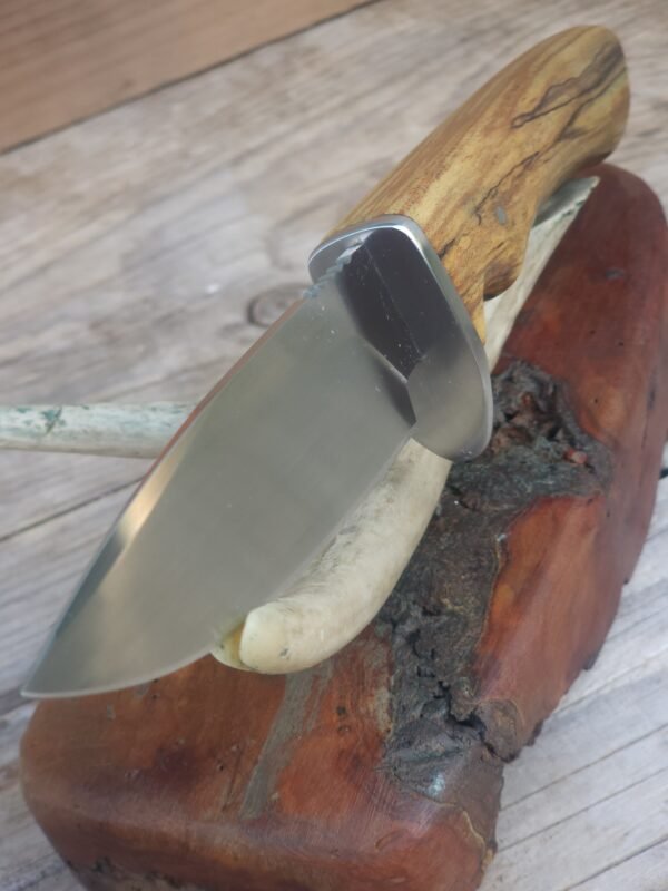 Nitro v Stainless Hunter Knife