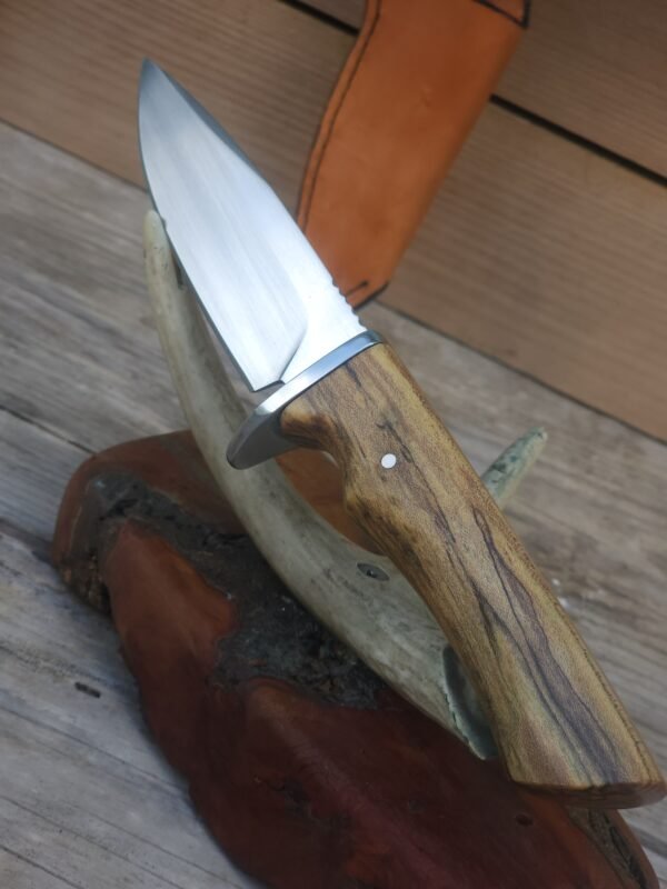 Nitro v Stainless Hunter Knife