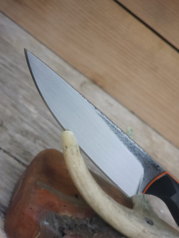 20250812_141040 Stainless Steel Hunter Knife