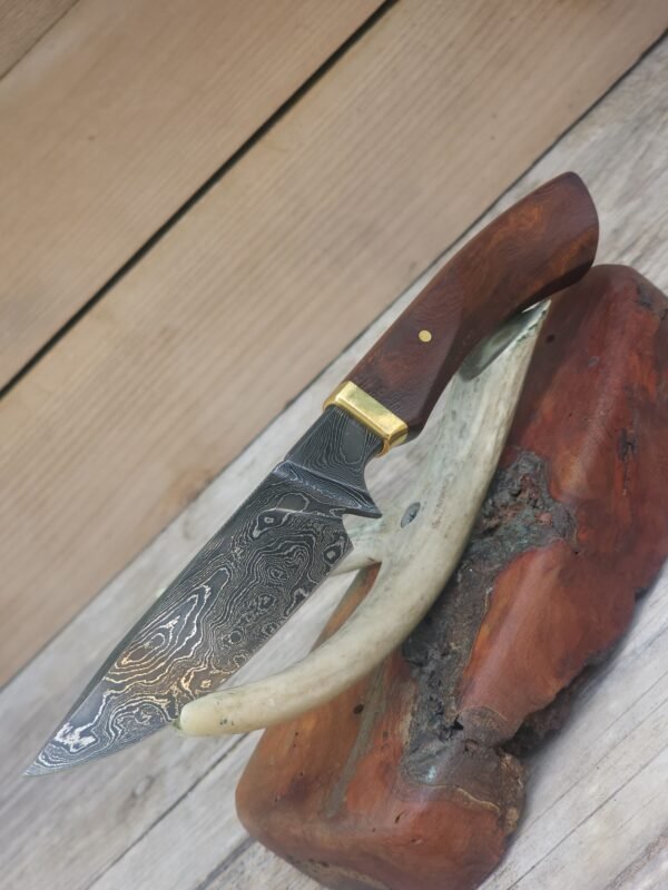 Damascus Integral Hunter